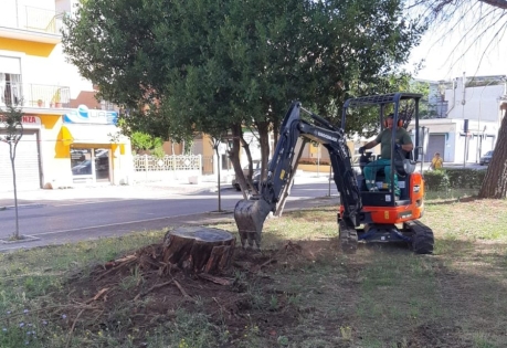 BOBCAT 30q