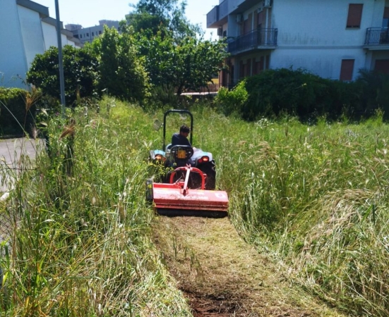 TRATTORINO TRINCIATORE