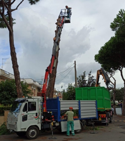 TRATTRICE AGRICOLA CON CESTELLO E GRU
